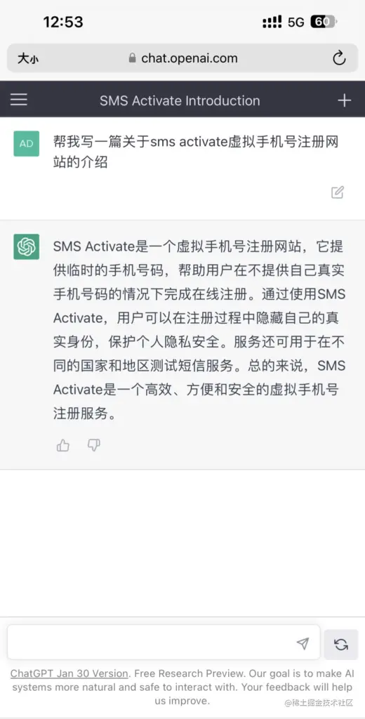 Chat GPT注册指南：填信息、验手机及接码平台使用方法-第20张图片-世界杯直播-世界杯直播观看-官方最新链接-V3.6.9