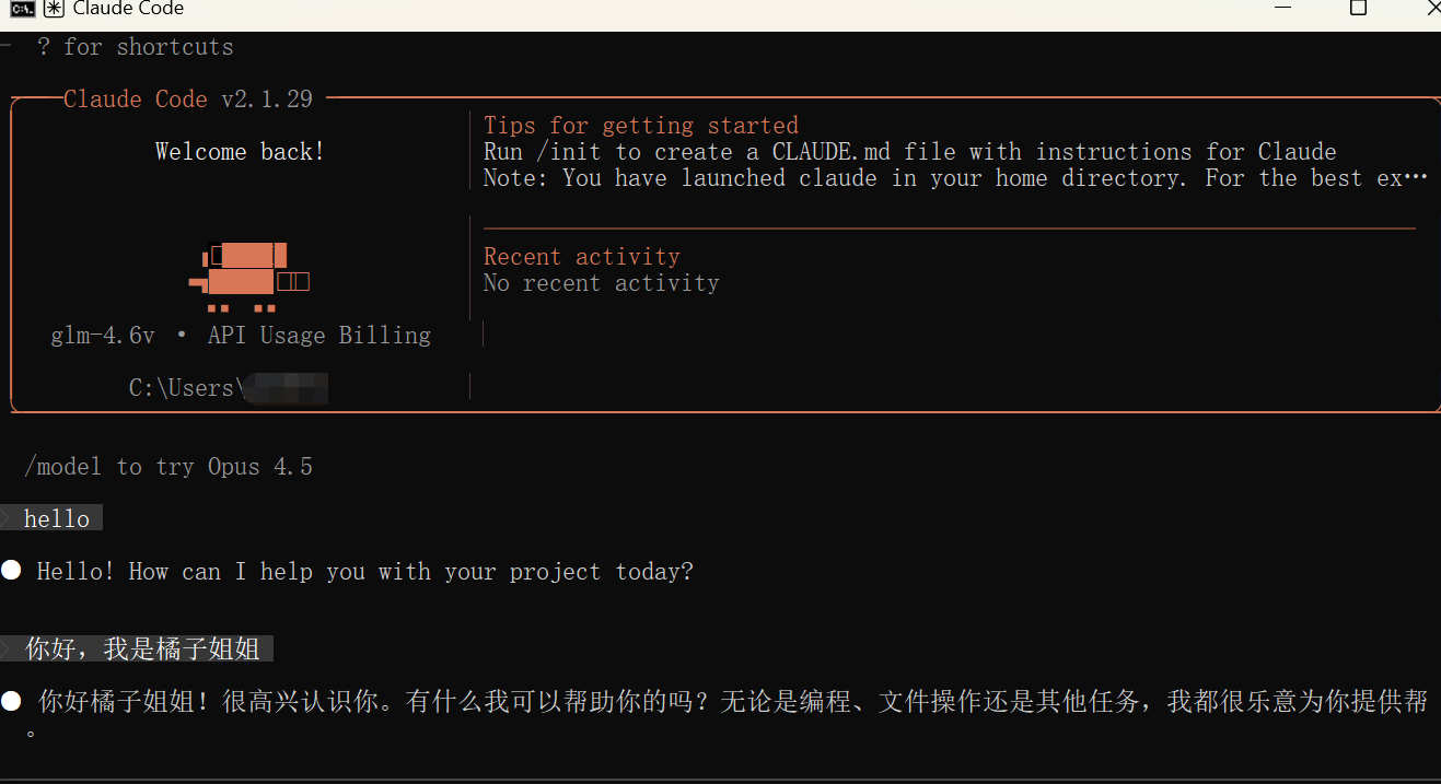Claude Code（CC）安装指南：环境搭建与命令行操作全解析-第10张图片-世界杯直播-世界杯直播观看-官方最新链接-V3.6.9
