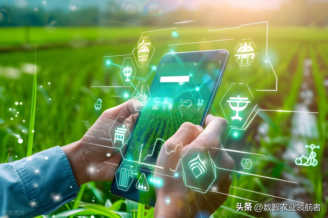 AI写代码快如点外卖？程序员没失业，农业软件AI搞不定-第7张图片-世界杯直播-世界杯直播观看-官方最新链接-V3.6.9